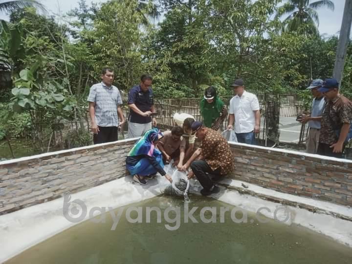 Pemkab Sergai Beri Bantuan Benih dan Pakan Ikan Kepada Pokdakan