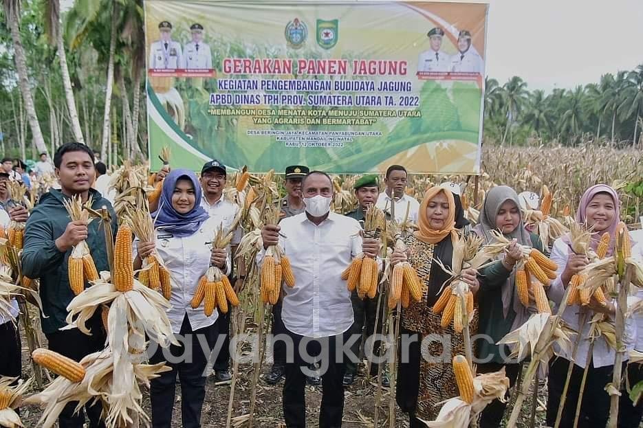 Pemprov Sumut terus Dorong Petani Kembangkan Komoditas Pertanian. 