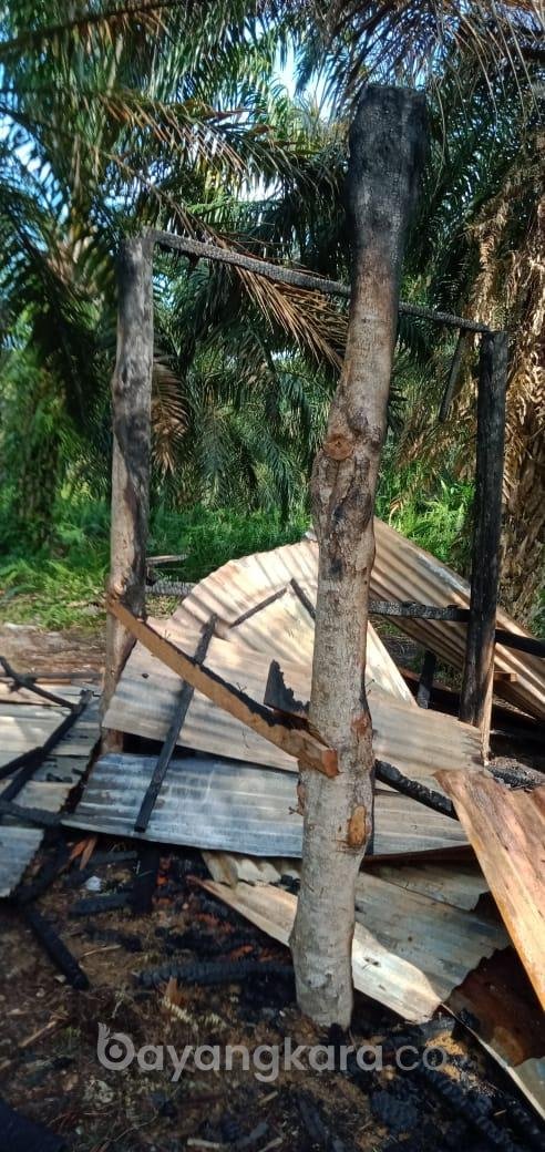 4 bulan laporan kehilangan dinding papan gubuk ladang milik Jumito warga Dusun I, Desa Londut, Kecamatan Kualuh Hulu, Labura seakan berjalan ditempat.