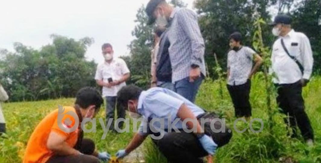 MAYAT BAYI TEMUKAN DI SALURAN IRIGASI  PERSAWAHAN SITUBONDO