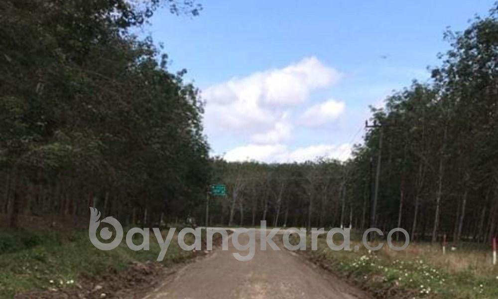 Jalan Menuju Ancol Desa Buluh Duri Sudah rata dan Akan di Hotmik, Masyarakat ikut Menikmatinya