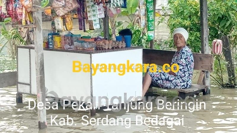 Ribuan Rumah di Tanjung Beringin Sergai Terendam Banjir, Warga Butuh Bantuan Makanan