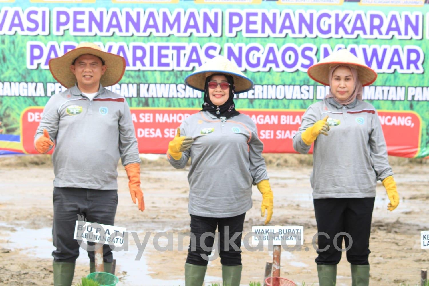 Pemkab Labuhanbatu Rencanakan Pembangunan Desa Inovatif Swasembada Pangan
