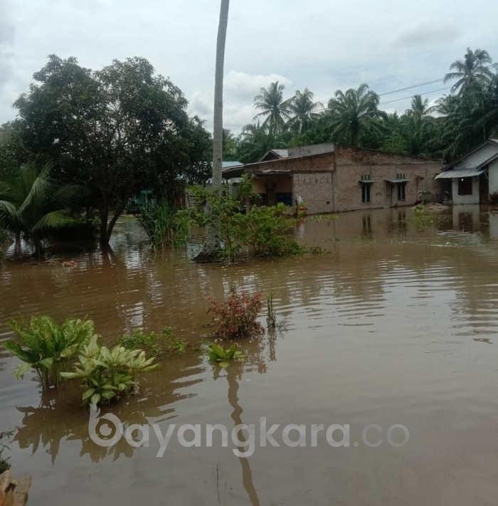 Banjir DiKecamatan Nibung Hangus Tepatnya Desa Mataram Memakan Korban Anak SD berusia 8 tahun.