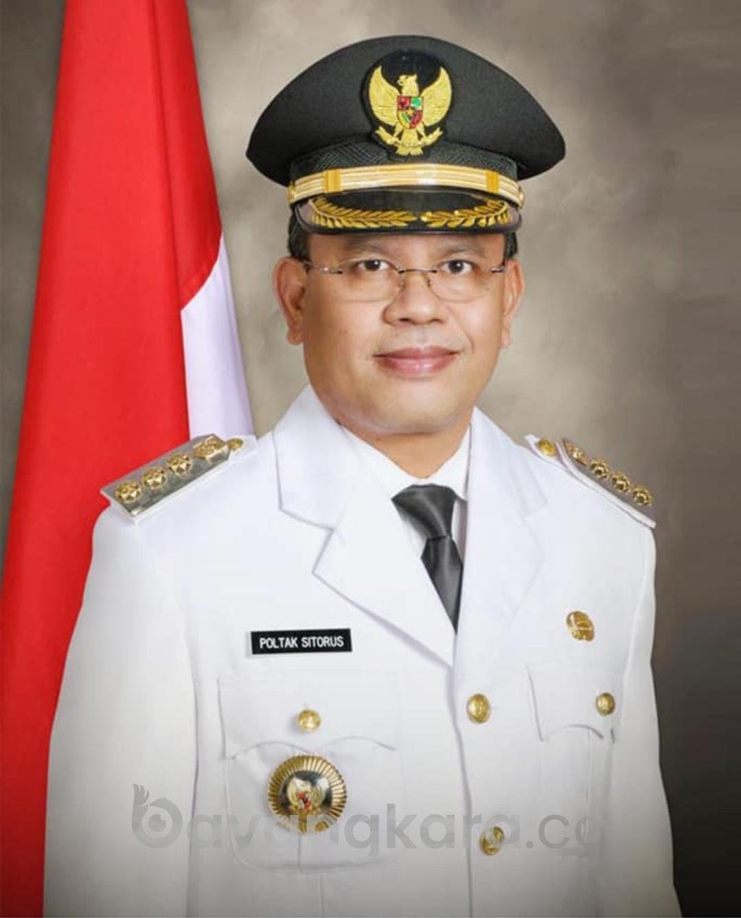 Biodata Poltak Sitorus Bupati Toba, Lampiran Laporan Lhkpn,  Kepala Daerah Terkaya di Sumut