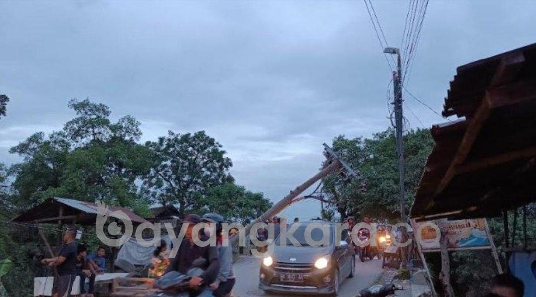 Tiang Listrik Tumbang di Kampung Lalang hingga Listrik Padam