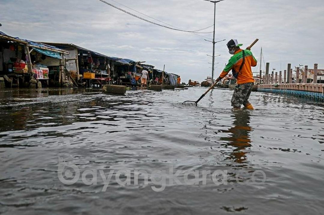 BANJIR ROB TERJANG DI JAKARTA UTARA HINGA 9 RT TERENDAN BANJIR