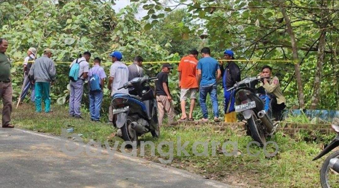 Mobil Minibus Terjun ke Jurang di Pakpak Bharat, 5 Orang Tewas Dan Luka-Luka 11 Lainnya Di Rawat Di Puskesmas