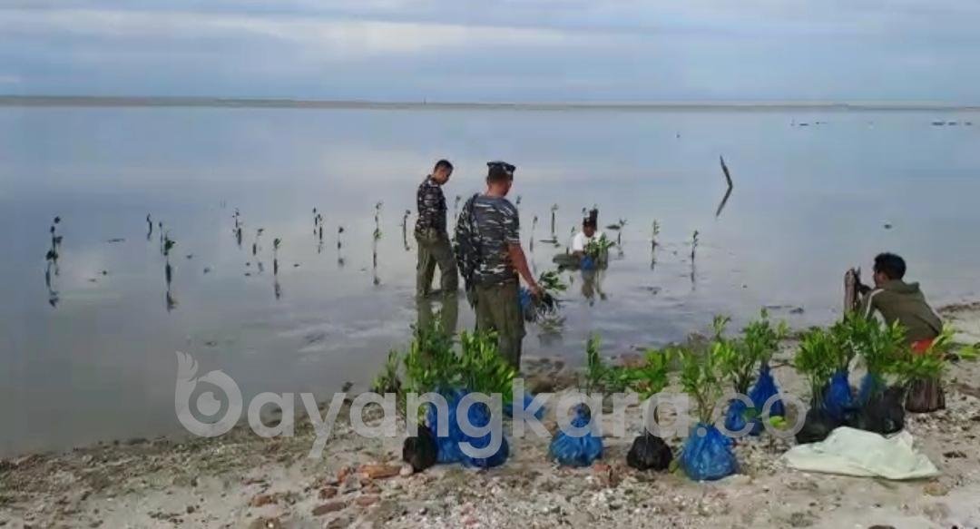 Untuk mencegah Abrasi Pantai, Babinpotmar Posal Tanjung Tiram Bersama Kades Bandar Rahmat Melaksanakan Penanaman Mangrove. 