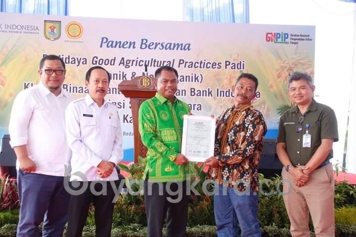 Panen Raya Klaster Padi Binaan Bank Indonesia.