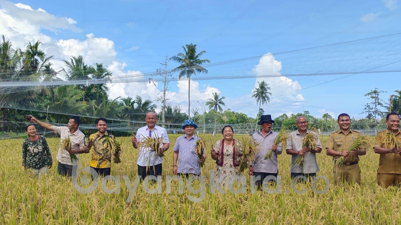 Bupati Nias Utara Serahkan Tiga Unit Mesin Perontok Padi Untuk Petani