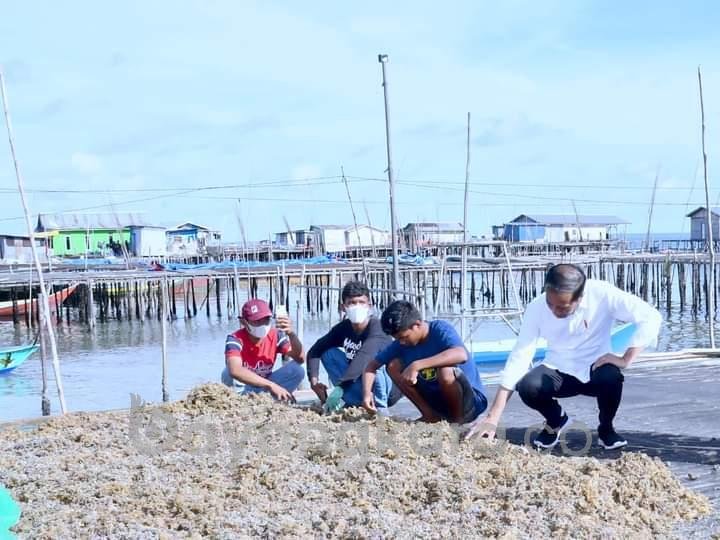 Presiden Yakin Kawasan KIPI Jadi Masa Depan Industri Energi Hijau Indonesia