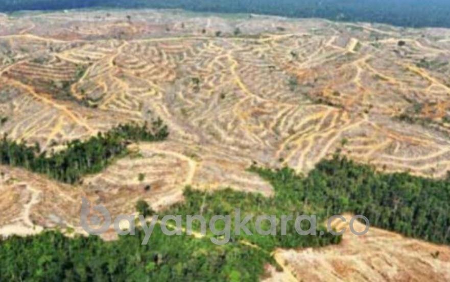 Viral DPRD Samarinda Akan Tutup Tambang Batubara sampai 2026, Disahuti Ketum Perkumpulan Wartawan FRN