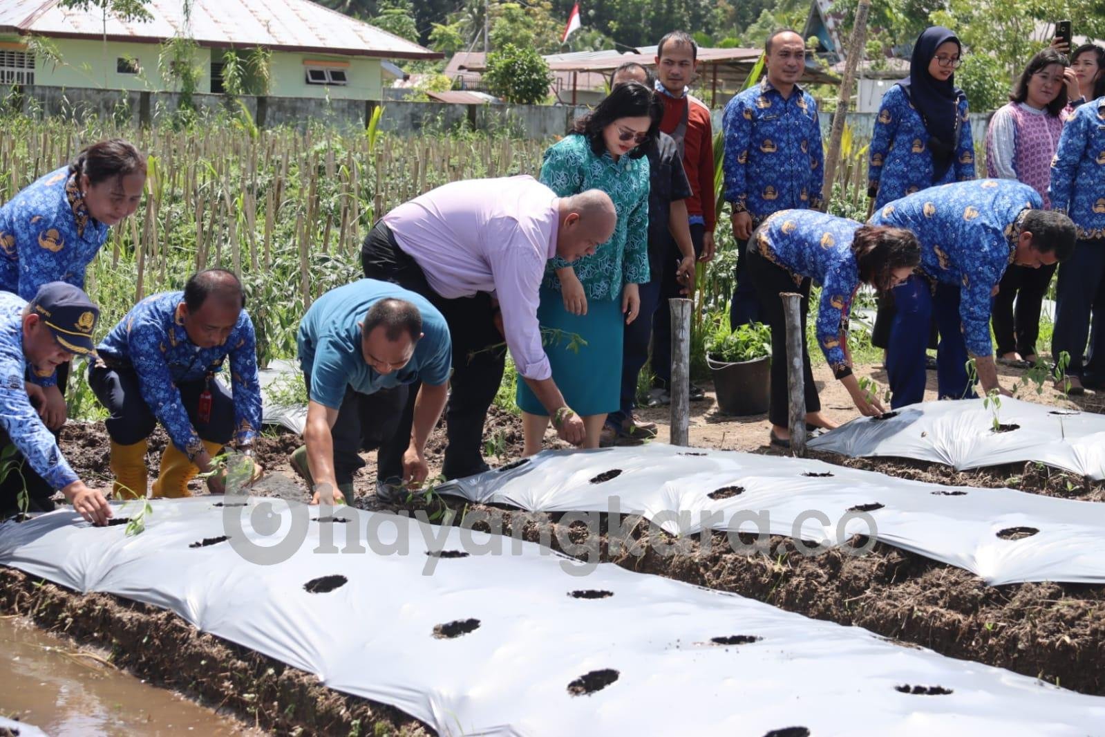 LAUNCHING GERAKAN PERTANIAN MASUK SEKOLAH (GERTANIMAS).