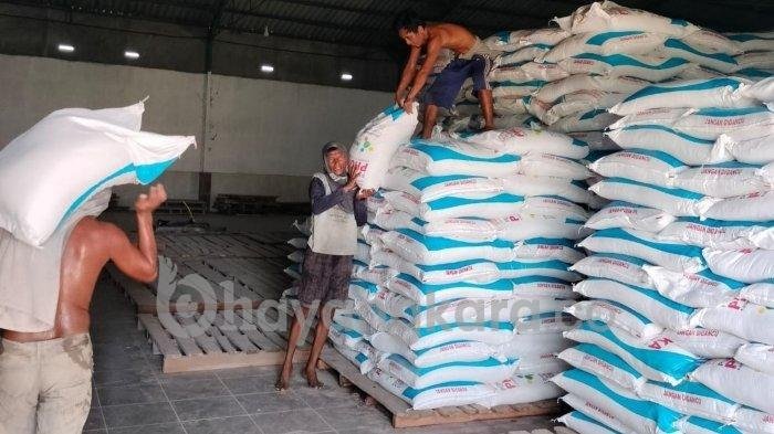 Dinas Pertanian Sergai Klaim Pupuk Subsidi Cukup, Kelompok Tani Diminta Aktif Daftar E-Alokasi