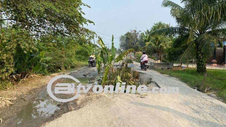 Aksi Protes, Warga Tanam Pohon Pisang di Badan Jalan yang Berlobang