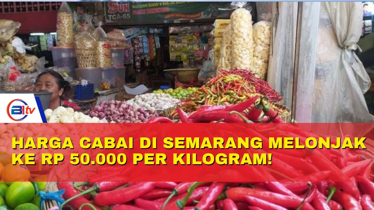 Melonjak! Harga Cabai di Semarang Sentuh Rp 50.000 per Kilogram!