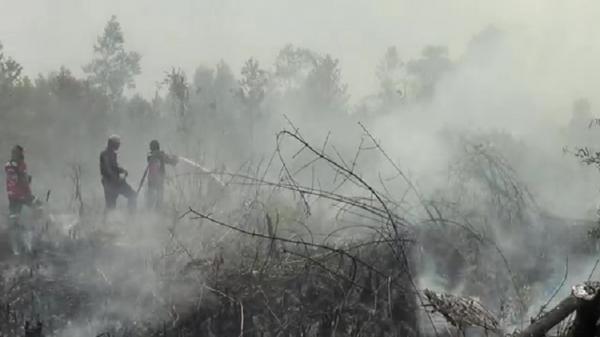 Palangka Raya Tetapkan Status Tanggap Darurat Kebakaran Hutan