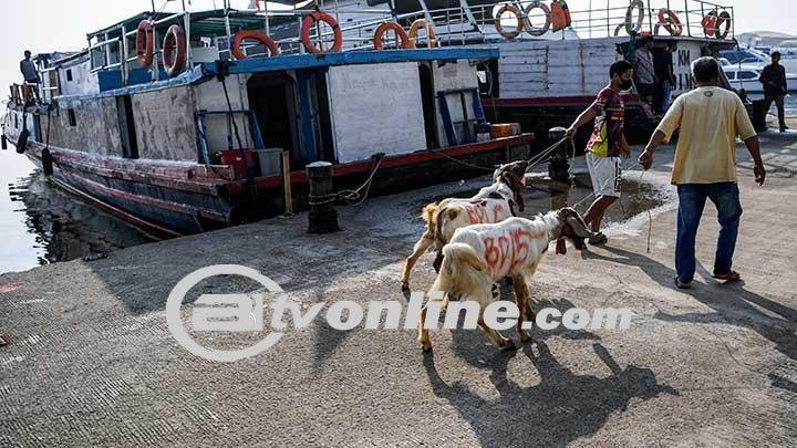 Enam Kapal Langgar Izin, Pemkab Kepulauan Seribu Beri Tindakan