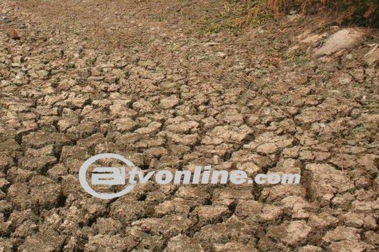 Seluas 1.500 Hektare Sawah di Batu Bara Sumut Alami Kekeringan