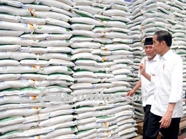Dorong Produksi Beras, Jokowi Instruksikan PT Pupuk Indonesia Salurkan 2 Juta Ton Pupuk Ke Petani