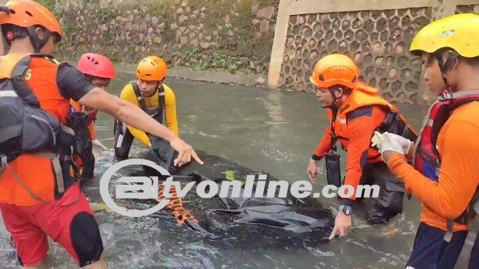 Tim SAR Temukan 2 Jenazah Anak Hanyut di Kali Mampang Jaksel