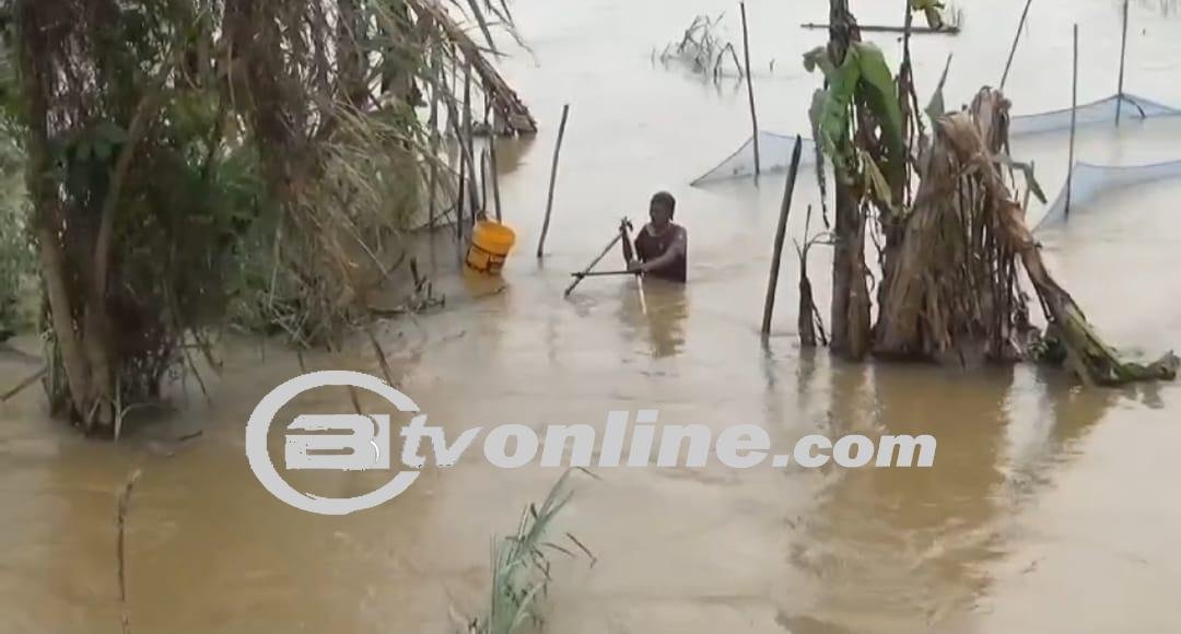 Banjir Melanda Desa Teluk Jambu, Warga Terpaksa Mencari Ikan Untuk Bertahan Hidup