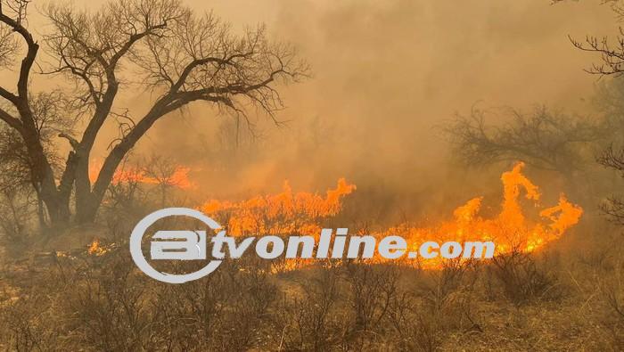 Kebakaran Hutan Terbesar dalam Sejarah Texas, Satu Orang Tewas