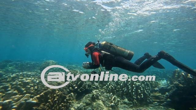 Cerita Kartini Masa Kini,Srikandi Penjaga Laut Obi