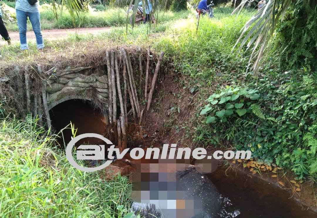 Mayat Seorang Pria Membusuk Ditemukan dalam Parit di Langkat