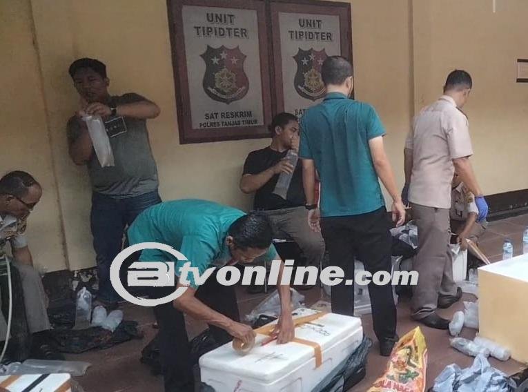 Operasi Sukses Polres Tanjab Timur, Penyelundupan Benih Baby Lobster Senilai 14,8 Miliar Dibongkar