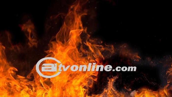 Tragedi Kandang Ayam Banyuwangi, 28.000 Ekor Mati Terpanggang