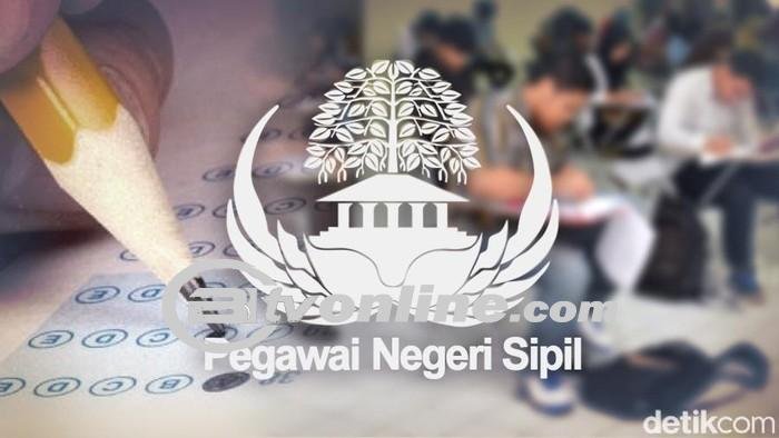 Pendaftaran CPNS 2024 Resmi Dibuka,  Jadwal, Syarat, dan Formasi Yang Perlu Diketahui