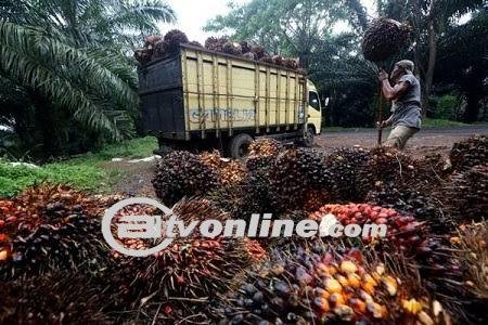 Kenaikan Suku Bunga BI, Dampak dan Prospek Bagi Perekonomian Sumut