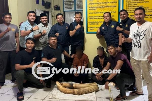 Penangkapan 2 Pelaku Penjualan Gading Gajah di Pidie