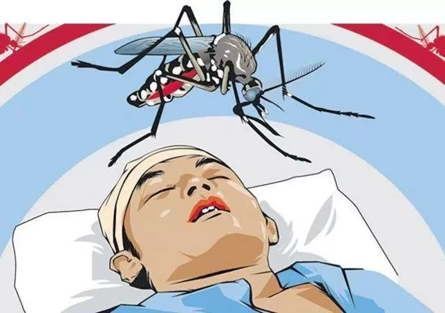 Kasus DBD Meningkat Tajam di RI! Pemerintah Dorong Kesadaran Masyarakat