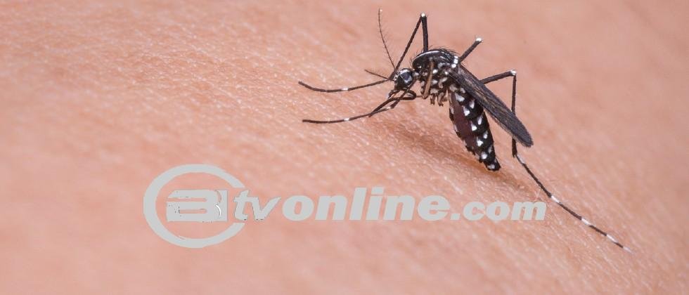 Kenaikan Drastis Kasus DBD di Tengah Anomali Cuaca,Apa Penyebabnya?