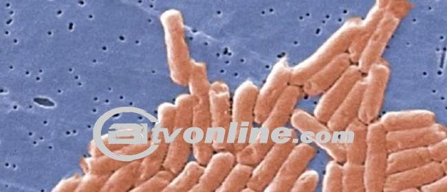 42 Balita Keracunan di Majene, BPOM Temukan Bakteri Dalam Makanan Pencegah Stunting