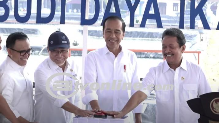 Potensi Tambak Ikan Nila, Mimpi Besar Jokowi Untuk Membuka Lapangan Kerja