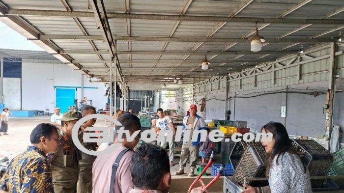 Langkah Cepat Pemkab Karo: Sidak ke Usaha Pencucian Wortel Terkait Keluhan Limbah Meluap