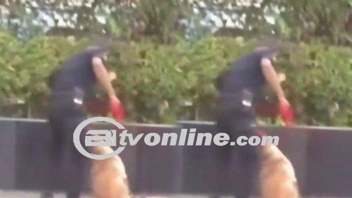 Skandal Sekuriti Plaza Indonesia: Perjalanan Menyedihkan Anjing Bernama Fay