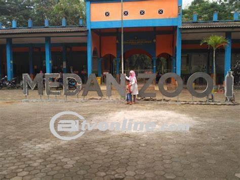 Kontroversi Penutupan Medan Zoo: Antara Masukan Dirut PUD dan Kajian Ulang Wali Kota Bobby Nasution