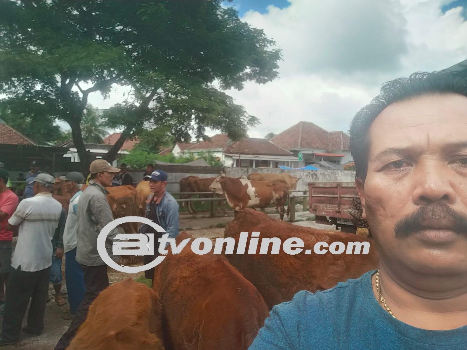 TNI AL Puslatmar Lampon 7 Berbagi Berkah Idul Adha dengan Masyarakat Bangorejo