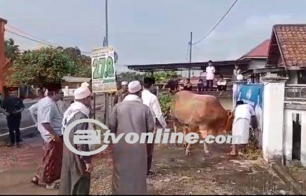 PJ Bupati Raden Najmi Serahkan Simbolis 17 Hewan Kurban dan Sapi Limosin dari Gubernur Jambi