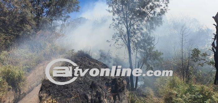 Karhutla Merebak di Gunung Bromo: Sudah 2 Hari Api Membara di Bukit Naga