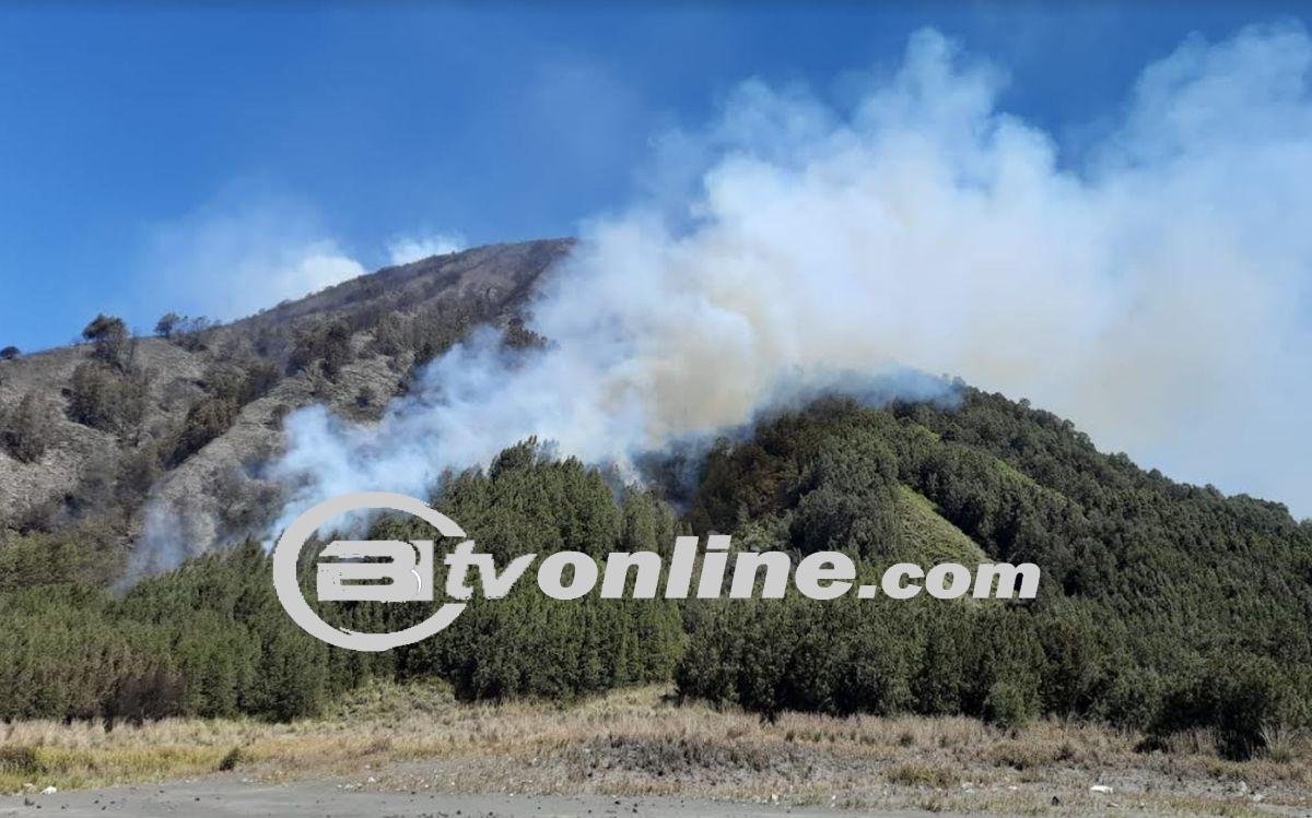 Kebakaran Lahan Gunung Batok di Kawasan Bromo Padam, Petugas Masih Siaga!