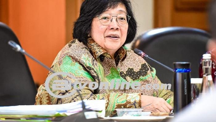 Optimisme dan Tantangan Menteri Siti Nurbaya dalam Penetapan Kawasan Hutan