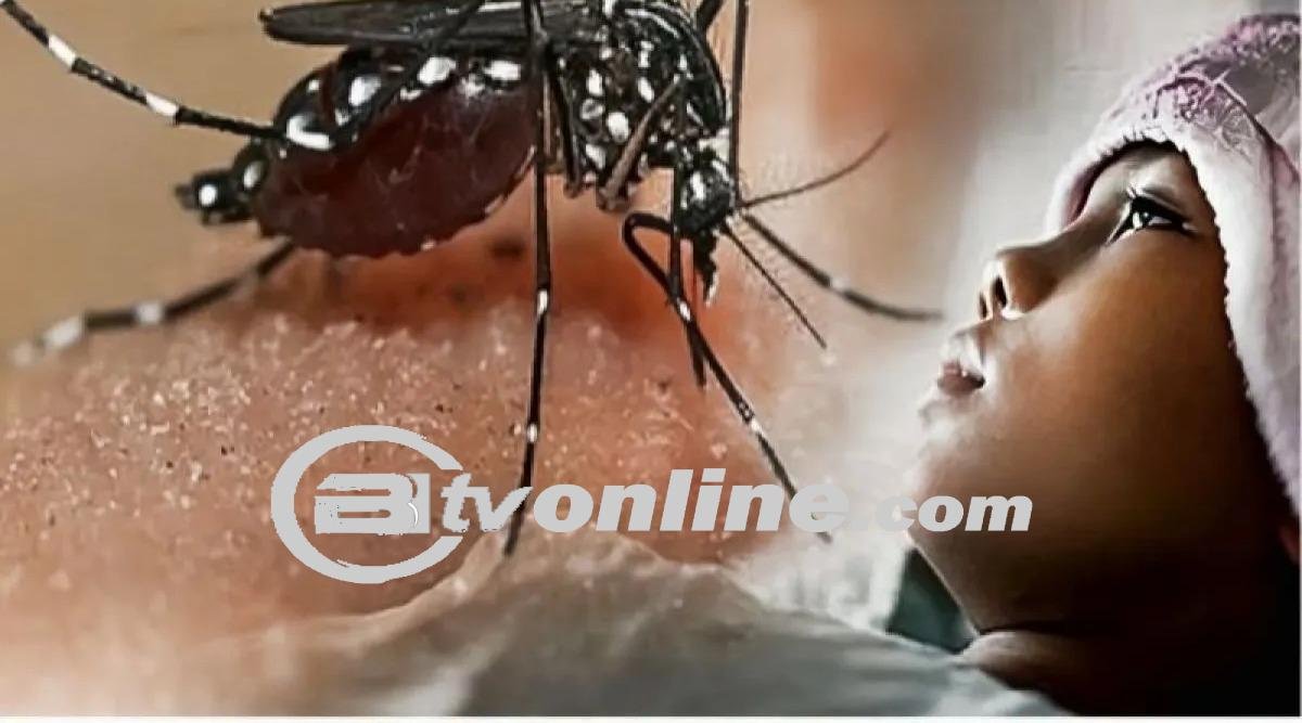 Vaksin DBD di Kaltim: Sukses Turunkan Kematian Akibat Virus Dengue