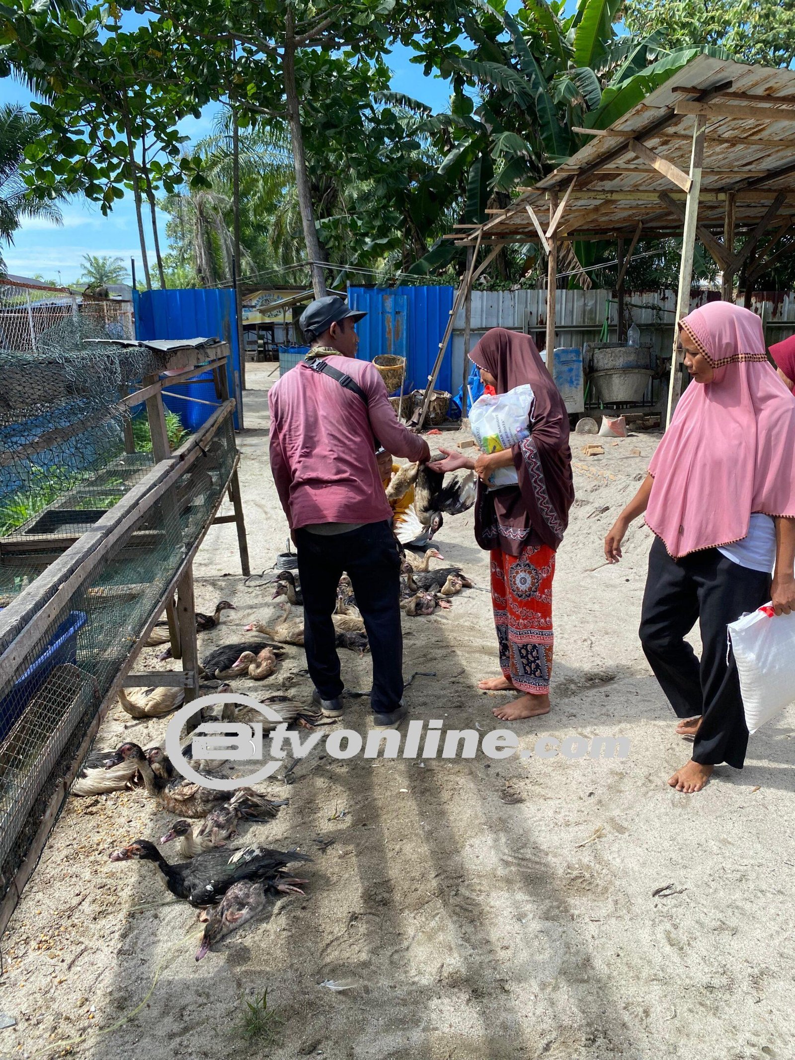 Mitra Binaan INALUM, Kelompok Tani Sari Larva Berdaya Sebarkan Manfaat Untuk Masyarakat Sekitar