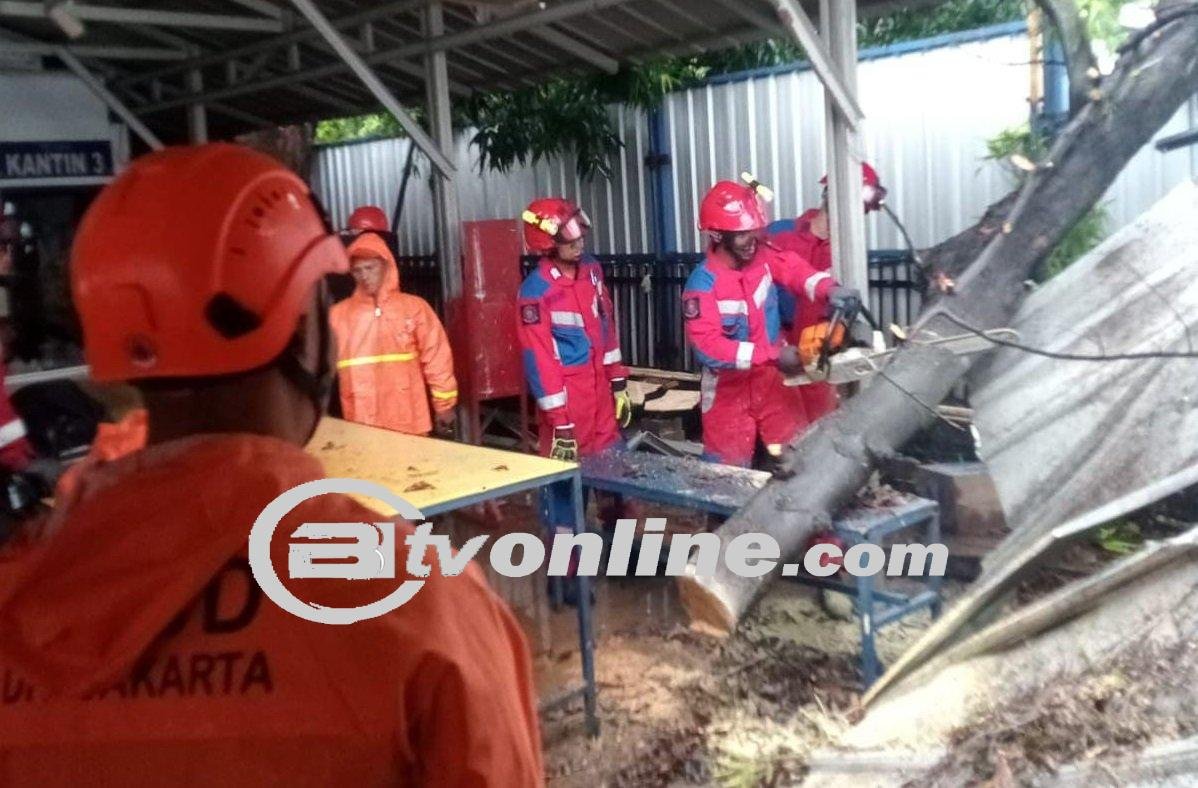 Atap Kantin di Tomang Hancur Tertimpa Pohon Tumbang